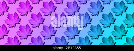Creative layout of colorful autumn leaves. Banner with maple leaves pattern on neon background. Top view. Flat lay. Season concept Stock Photo