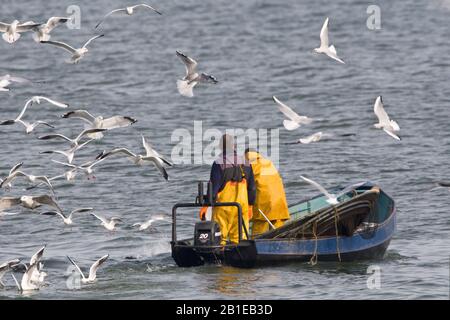 Fishermen at the IJsselmeer, Netherlands Stock Photo