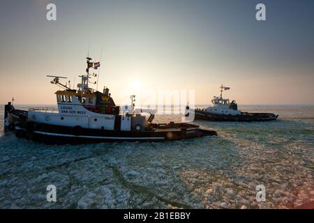 icebreakers on the IJsselmeer at sunrise, Netherlands, Ijsselmeer Stock Photo