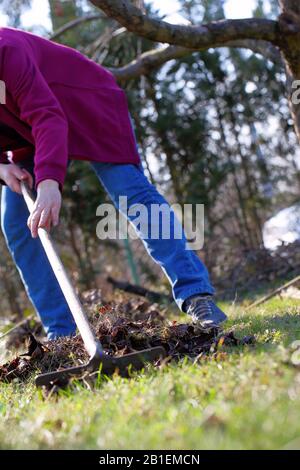 Woman cleans the garden in early spring and empty space for text Stock Photo