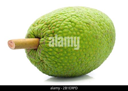 breadfruit benefits isolated on white background Stock Photo