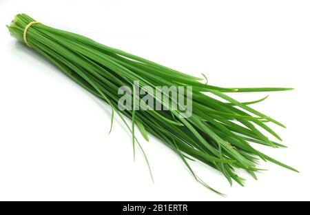 Chinese chives leaf isolated on white background Stock Photo