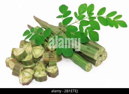 moringa oleifera with leaf isolated on white background Stock Photo