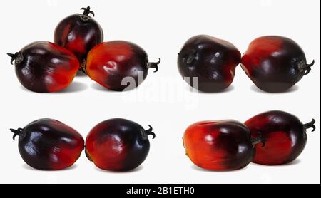 Set of Palm oil fruits isolated cut out on white background Stock Photo