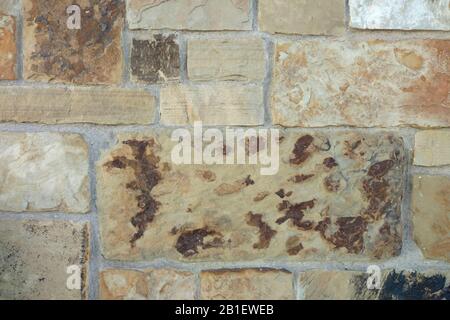 an aged weathered tan brown block cut slate rock wall close-up Stock Photo