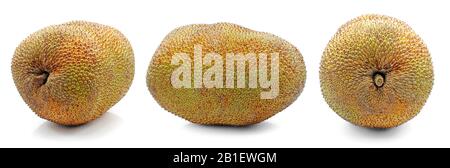 Single object of Jackfruit isolated on white background Stock Photo