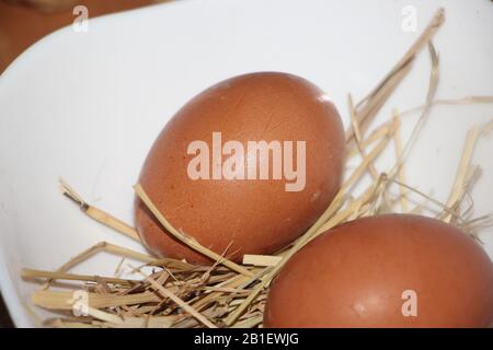 Two natural chicken hen brown eggs in a hay, nautral healthy food concept Stock Photo
