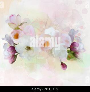 Spring and summer flowers collection – composition of white roses and violet cherry blossoms Stock Photo