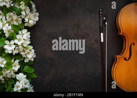 Old violin with fiddlestick and blossoming apple tree branches. Top view, close-up on dark background Stock Photo