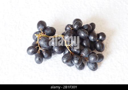 Black grapes on vine on a white background Stock Photo
