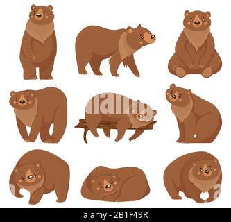 Cartoon brown bear. Grizzly bears, wild nature forest predator animals and sitting bear isolated vector illustration Stock Vector