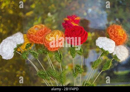 Multi-colored knitted flowers from a woolen thread on background of window glass Stock Photo