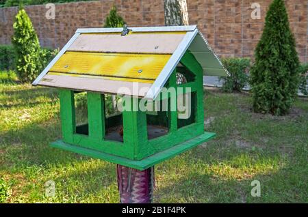 Bird feeder made of wood and plastic stands on the lawn in city park Stock Photo