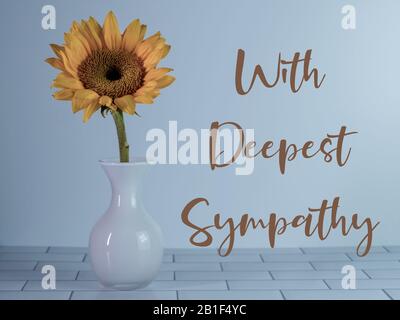 Yellow single sunflower in a white glass vase on a white subway tile surface with a white background and the words With Deepest Sympathy written acros Stock Photo