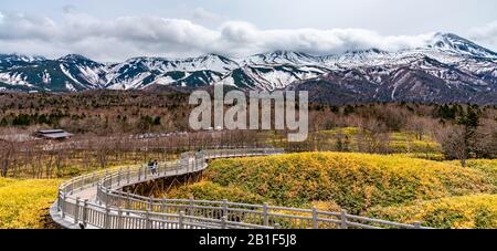 Shiretoko Goko Five Lakes in Shiretoko National Park. Tourists can walk on the elevated wooden boardwalk. Shari, Hokkaido, Japan Stock Photo