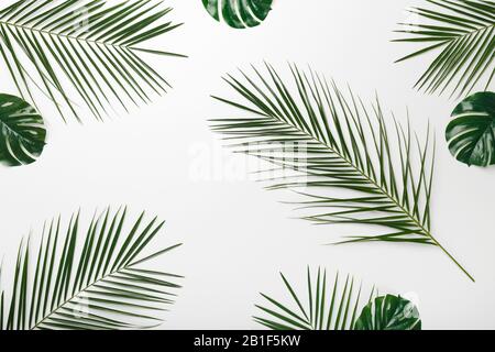 Natural background or wallpapers with monstera leaves Stock Photo