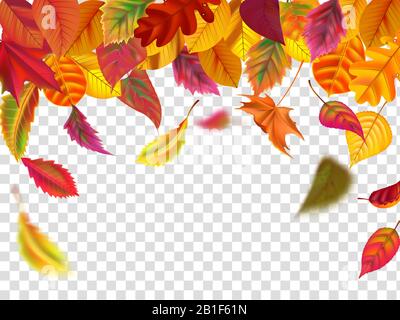 Autumn leaves fall. Falling blurred leaf, autumnal foliage fall and wind rises yellow leaves isolated vector illustration Stock Vector