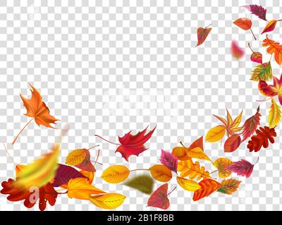 Autumn falling leaves. Leaf fall, wind rises autumnal foliage and yellow leaves isolated vector illustration Stock Vector