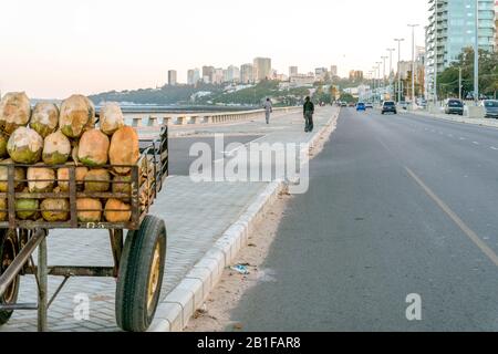 Cart full of coconuts by the street on Costa do Sol in Mapouto, Mozambique Stock Photo