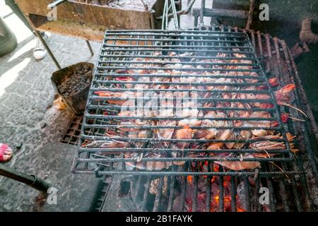 Delicious grilled lobsters still on the barbecue charcoal fire, Mozambique Stock Photo