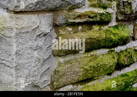 Detail of an old brick wall with moss Stock Photo