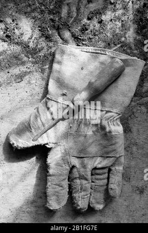Working mans glove worn and torn with old wooden screwdriver on a wooden table in black and white Stock Photo