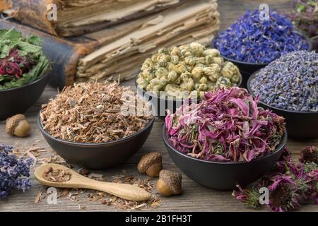 Bowls and mortars of dry medicinal herbs: lavender, cornflower, coneflower, daisies. Healing herbs assortment and old books on wooden table. Herbal me Stock Photo