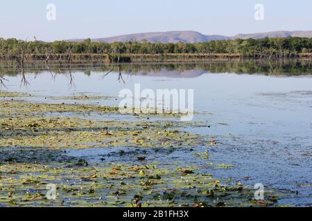 Kununurra wetlands Western Australia Stock Photo