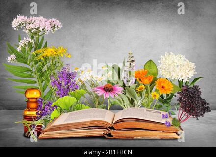 Medical plants with old books and letter case Stock Photo