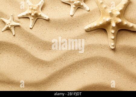 Starfishes on sand background. Top view. Flat lay Stock Photo