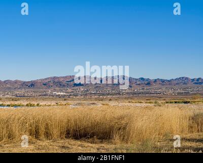 Nature scene of the Wetlands Park at Nevada Stock Photo