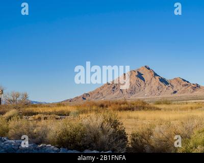 Nature scene of the Wetlands Park at Nevada Stock Photo