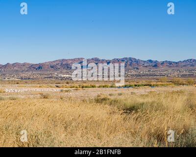 Nature scene of the Wetlands Park at Nevada Stock Photo