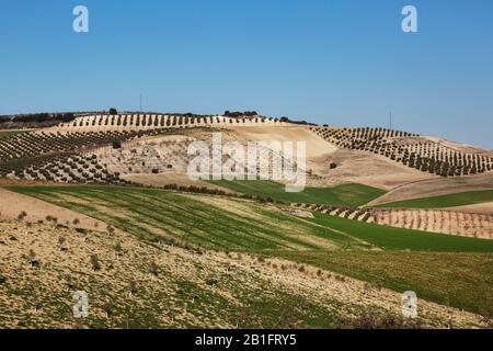 Cultivated pastureland in Andalucia, Spain Stock Photo