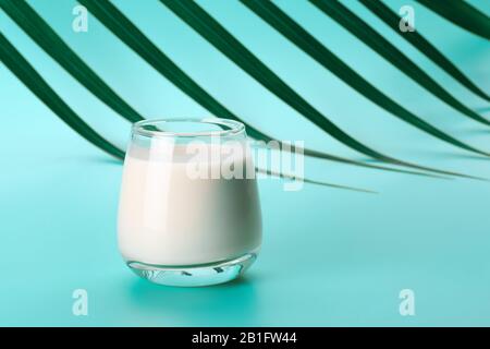 Coconut or almond milk on blue background with palm leaf Stock Photo