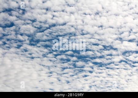 Texture of cloudy blue sky with rows of small fluffy white clouds on warm autumn day wallpaper background Stock Photo