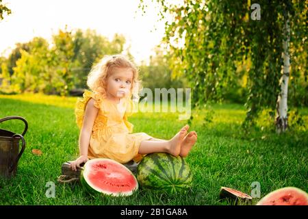 Portrait of a beautiful white blonde baby girl with watermelons in garden in summer at sunset. Happy childhood. Watermelon harvest. Cute child in Stock Photo