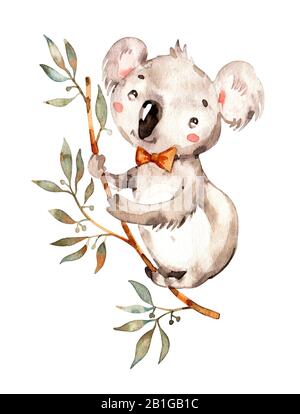 Cute baby Australian animal koala. Nursery watercolor handpainted kids boy girl illustration. boho clipart. hand drawn wildlife isolated Stock Photo