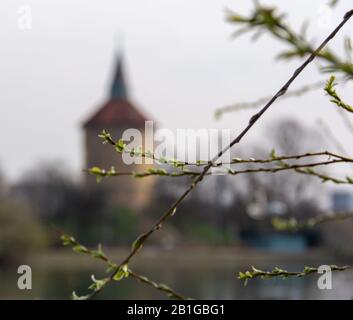 Some twigs with green leaves coming out on an early spring day in the park Pildammsparken with the old water tower blurred out in the background Stock Photo