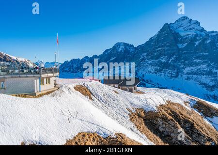 GRINDELWALD-FIRST, SWITZERLAND - JANUARY 15 2020: People enjoy winter sports on The First mountain in Swiss Alps in a popular Jungfrau Region Stock Photo