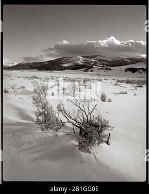 HB39907-00...WYOMING - The Lamar Valley in Yellowstone National Park after a winter snow storm. Kodak TriX 120 film with a Makina W67 Camera. Stock Photo