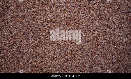 Textured and Abstract Background, consisting Natural patterns of finely eroded beach gravels. Stock Photo