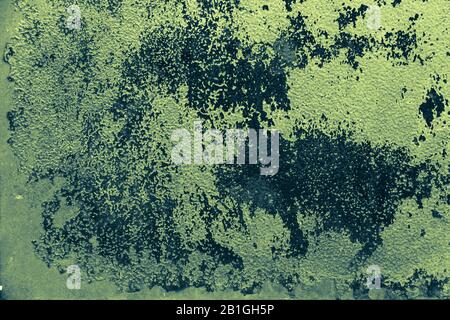 Rusty metal wall, old sheet of iron covered with rust with multi-colored paint. Stock Photo