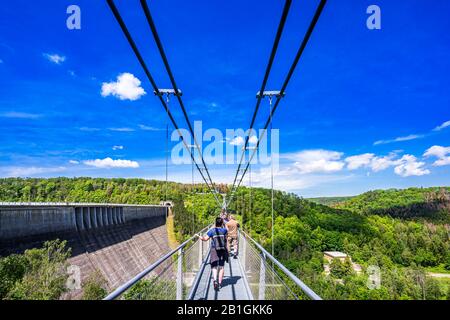 View on suspension bridge in Harz Mountains National Park, Germany Stock Photo