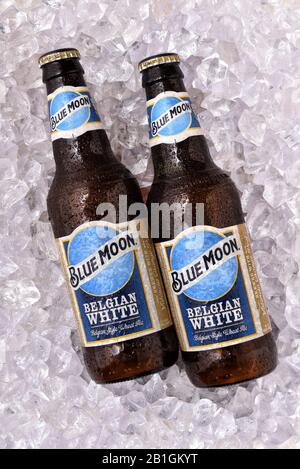 IRVINE, CALFORNIA - FEBRUARY 17, 2019: Blue Moon Belgian White Ale bottles on ice,  from Tenth and Blake Beer Company, the craft / import division of Stock Photo