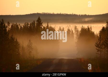 Misty morning over gravel road in Sweden. Stock Photo