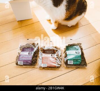 Paris, France - Feb 8, 2020: Overhead view of curious cat near unboxed dry dog food manufactured by Chewies with diverse meat Bones aroma Stock Photo
