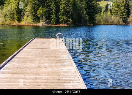 Empty wooden dock with metal ladder on water near trees. Stock Photo