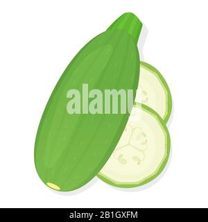 Whole marrow vegetables and slices isolated on white background. Ripe zucchini. Vector illustration. Stock Vector