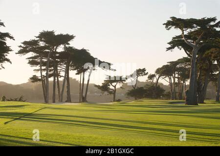 San Francisco, California, USA. 24th Feb, 2020. TPC Harding Park, Golf course on media day previewing golf's 2020 PGA Championship - the second 'major' of the year. Credit: Motofoto/Alamy Live News Stock Photo